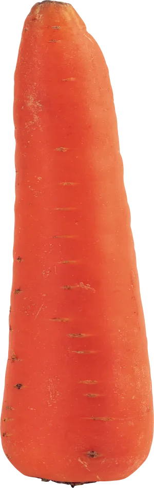 Fresh Single Carrot Isolated PNG Image