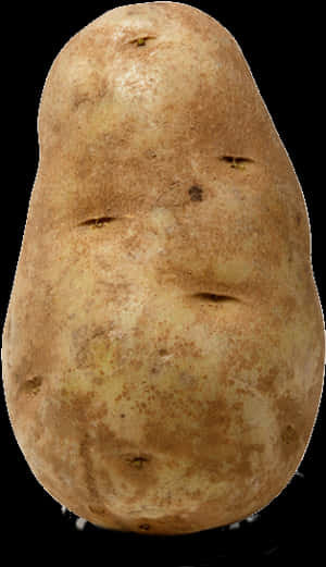 Fresh Single Potato Standing PNG image with transparent background