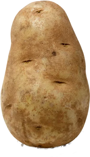 Fresh Single Potato Standing PNG Image