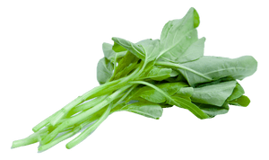 Fresh Spinach Leaves Isolated PNG image with transparent background
