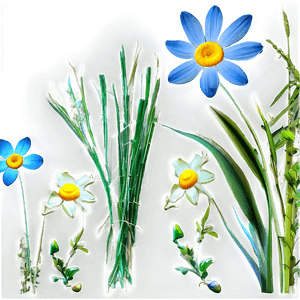 Fresh Spring Meadow PNG 05212024 PNG image with transparent background