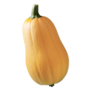 Fresh Squash Png 64 PNG Image