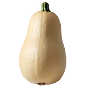 Fresh Squash Png Iss PNG Image