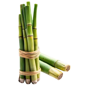 Fresh Sugarcane Png 06262024 PNG Image