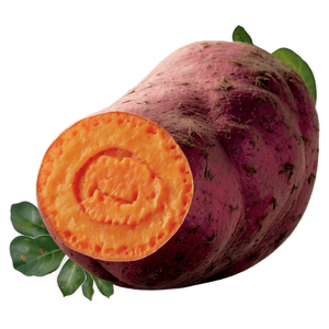 Fresh Sweet Potato PNG 55 PNG with transparent background
