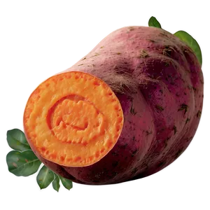 Fresh Sweet Potato Png 55 PNG Image