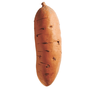Fresh Sweet Potato PNG 65 PNG with transparent background
