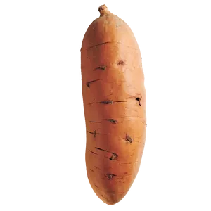 Fresh Sweet Potato Png 65 PNG Image