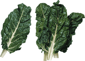 Salad Png Image - Leafy Greens Transparent Background, Png Download PNG with transparent background