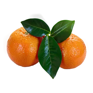 Fresh Tangerine Png 06122024 PNG Image