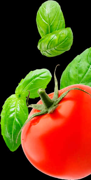 Transparent Tomatoe Clipart - Tomato And Basil Png, Png Download PNG image with transparent background