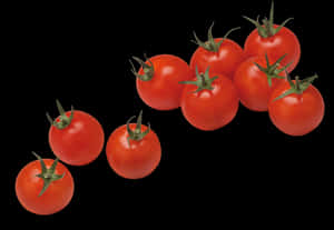 Fresh Tomato Png Download Image - Cherry Tomatoes Clip Art, Transparent Png PNG with transparent background