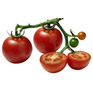 Fresh Tomatoes Png 06212024 PNG Image