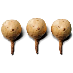 Fresh Tuber Harvest Png Mtr PNG Image