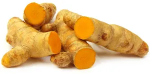 Fresh Turmeric Roots PNG Image