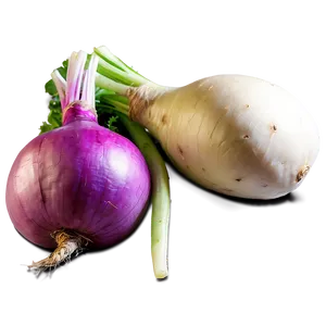 Fresh Turnip Png 06252024 PNG Image