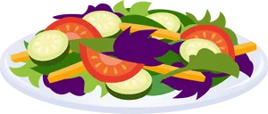 Fresh Vegetable Salad Plate Illustration PNG Image