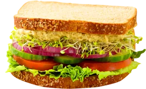 Fresh Vegetable Sandwich.png PNG Image