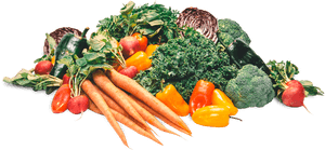 Plant Based Diet Transparent, HD Png Download PNG with transparent background