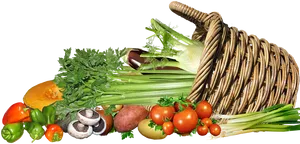 Fresh Vegetables Basket Assortment PNG Image