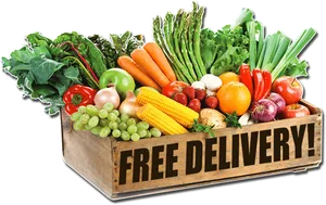 Fresh Vegetables Free Delivery Promotion PNG Image