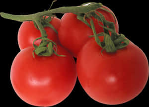 Now You Can Download Tomato Icon Png - Tomato Png Transparent, Png Download PNG image with transparent background