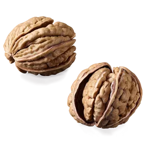 Fresh Walnut Png Tlh PNG Image