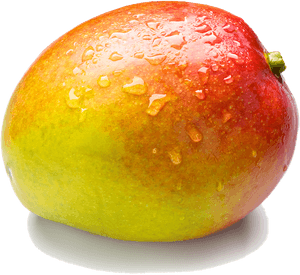 Fresh Water Dropletson Mango PNG with transparent background