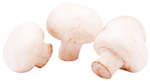 Fresh White Button Mushrooms PNG image with transparent background