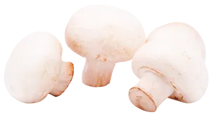 Fresh White Button Mushrooms PNG Image