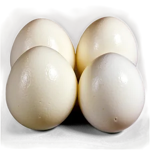 Fresh White Egg Png Njf PNG Image