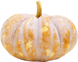 Pumpkin Png Image - Pumpkin Png, Transparent Png PNG with transparent background