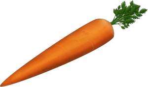 Fresh Whole Carrot Image PNG image with transparent background