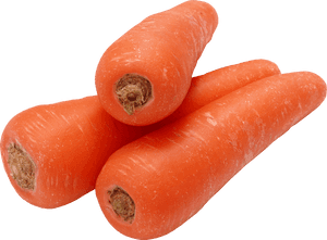 Fresh Whole Carrots Isolated PNG image with transparent background