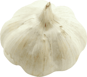 Garlic Png Image - Elephant Garlic, Transparent Png PNG with transparent background
