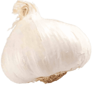 Elephant Garlic, HD Png Download PNG image with transparent background
