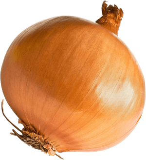 Onion Png Free Download - Onion Png, Transparent Png PNG image with transparent background