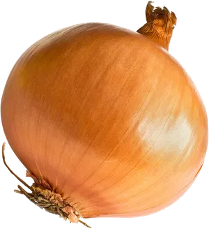 Fresh Whole Onion PNG Image