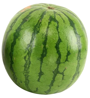 Fresh Whole Watermelon PNG Image