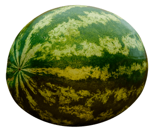 Fresh Whole Watermelon Image PNG