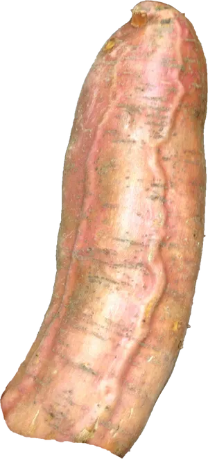 Fresh Whole Yam Tuber PNG Image