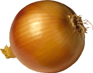 Onion Images Usseekm - Onions Transparent Background, HD Png Download PNG image with transparent background