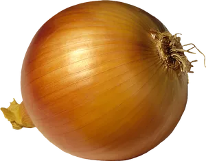 Fresh Whole Yellow Onion PNG Image