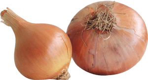 Fresh Onion Png, Transparent Png PNG image with transparent background