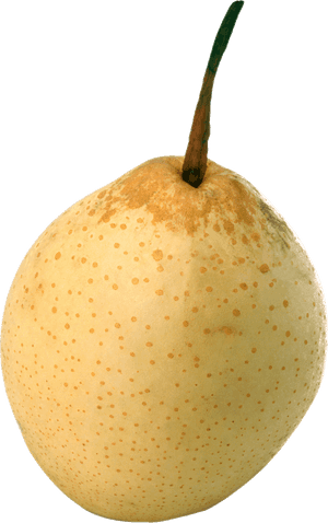 Pear In Transparent Background, HD Png Download PNG with transparent background