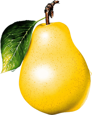 Pear - Pear Png, Transparent Png PNG with transparent background