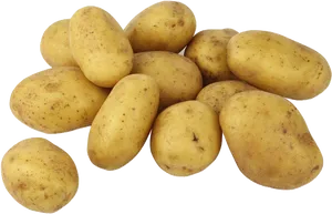 Fresh Yellow Potatoes Isolated PNG Image