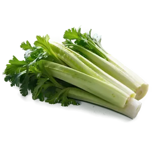 Freshly Cut Celery Png 61 PNG Image