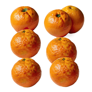 Freshly Picked Organic Oranges PNG mmw PNG with transparent background