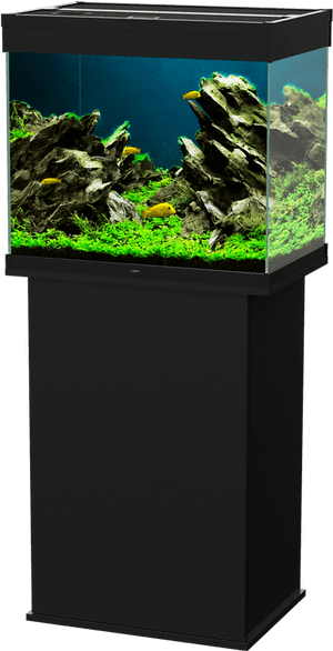 Aquarium Lighting, HD Png Download PNG image with transparent background
